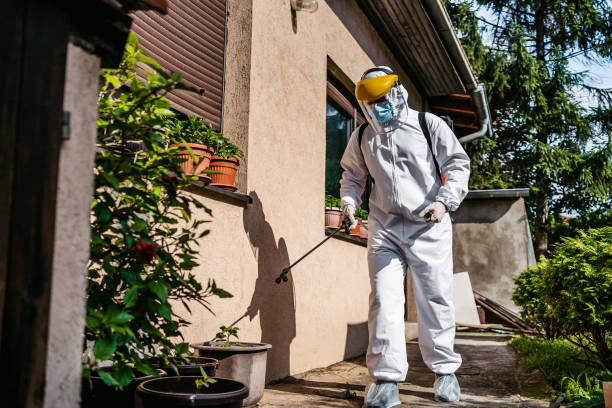 Professional Pest Control in Beaumont, TX