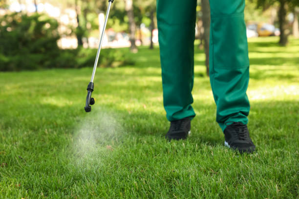 Best Pest Removal Services  in Beaumont, TX