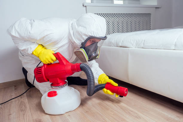 Best Mosquito Control Services  in Beaumont, TX