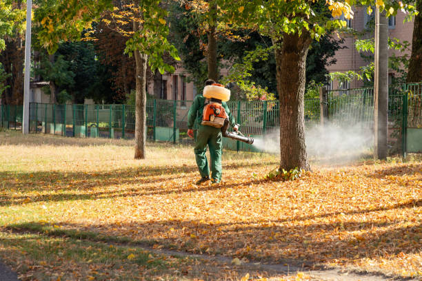 Pest Control for Restaurants in Beaumont, TX