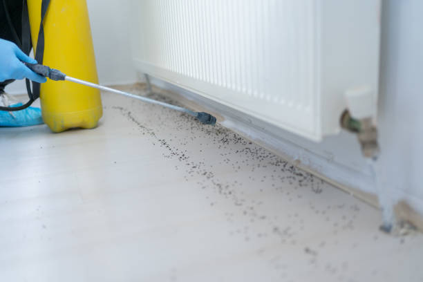 Best Pest Control Treatment  in Beaumont, TX