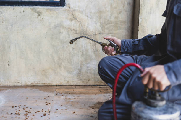 Best Affordable Pest Control Services  in Beaumont, TX
